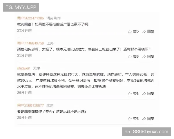 禁赛规则详解：球员停赛条件与裁判判罚标准解析