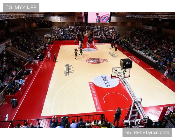 一次看懂：国际篮联和NBA干扰球规则的核心区别在哪？